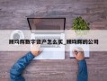 顾均辉数字资产怎么买_顾均辉的公司