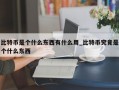 比特币是个什么东西有什么用_比特币究竟是个什么东西