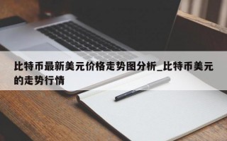比特币最新美元价格走势图分析_比特币美元的走势行情