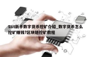 SUI新手数字货币挖矿介绍_数字货币怎么挖矿赚钱?区块链挖矿教程