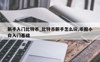 新手入门比特币_比特币新手怎么玩,币圈小白入门基础