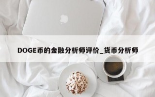 DOGE币的金融分析师评价_货币分析师