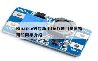 Binance钱包新手DeFi项目参与指南的简单介绍