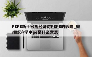 PEPE新手宏观经济对PEPE的影响_微观经济学中pe是什么意思