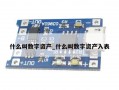 什么叫数字资产_什么叫数字资产入表