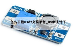 怎么下载usdt交易平台_usdt支付下载