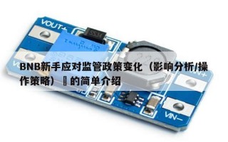 BNB新手应对监管政策变化（影响分析/操作策略）​的简单介绍