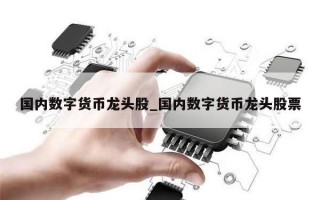 国内数字货币龙头股_国内数字货币龙头股票