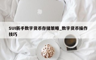 SUI新手数字货币存储策略_数字货币操作技巧