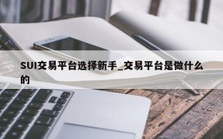SUI交易平台选择新手_交易平台是做什么的