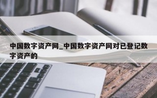 中国数字资产网_中国数字资产网对已登记数字资产的