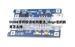 DOGE币的投资机构看法_doge币的前景怎么样