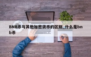 BNB币与其他加密货币的区别_什么是bnb币