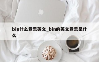 bin什么意思英文_bin的英文意思是什么