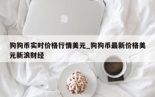 狗狗币实时价格行情美元_狗狗币最新价格美元新浪财经