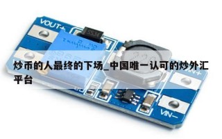 炒币的人最终的下场_中国唯一认可的炒外汇平台