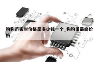 狗狗币实时价格是多少钱一个_狗狗币最终价格