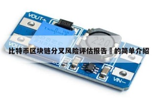 比特币区块链分叉风险评估报告​的简单介绍