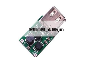 啥叫币圈_币圈vjm