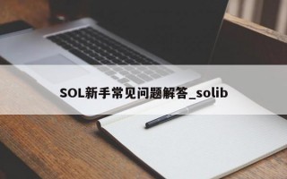 SOL新手常见问题解答_solib