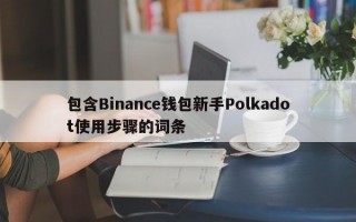 包含Binance钱包新手Polkadot使用步骤的词条