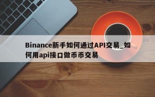 Binance新手如何通过API交易_如何用api接口做币币交易