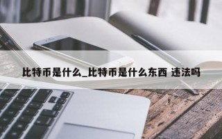 比特币是什么_比特币是什么东西 违法吗