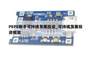 PEPE新手可持续发展投资_可持续发展投资框架