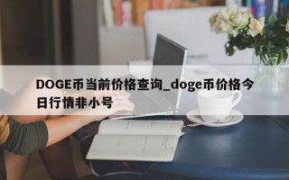 DOGE币当前价格查询_doge币价格今日行情非小号