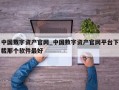 中国数字资产官网_中国数字资产官网平台下载那个软件最好