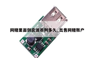 网赌里面倒卖波币判多久_出售网赌账户