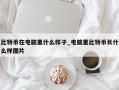 比特币在电脑里什么样子_电脑里比特币长什么样图片
