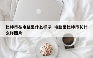 比特币在电脑里什么样子_电脑里比特币长什么样图片