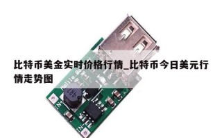 比特币美金实时价格行情_比特币今日美元行情走势图