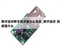 数字经济数字货币是什么意思_数字经济 到底是什么