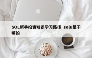 SOL新手投资知识学习路径_solu是干嘛的