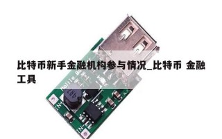 比特币新手金融机构参与情况_比特币 金融工具
