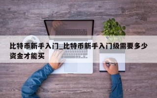 比特币新手入门_比特币新手入门级需要多少资金才能买