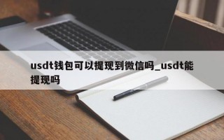 usdt钱包可以提现到微信吗_usdt能提现吗