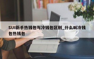 SUI新手热钱包与冷钱包区别_什么叫冷钱包热钱包