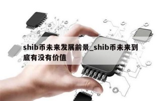 shib币未来发展前景_shib币未来到底有没有价值