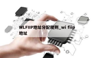 WLFIIP地址分配规则_wi fiip地址