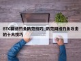 BTC网络钓鱼防范技巧_防范网络钓鱼攻击的十大技巧