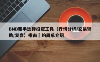 BNB新手选择投资工具（行情分析/交易辅助/复盘）指南​的简单介绍