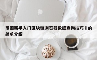 币圈新手入门区块链浏览器数据查询技巧​的简单介绍