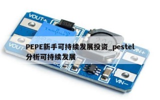 PEPE新手可持续发展投资_pestel分析可持续发展
