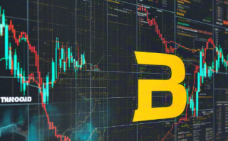 Binance Alpha上市震撼市场：Gorilla代币110%暴涨后惊现"大屠杀式"回调！是机会还是陷阱？