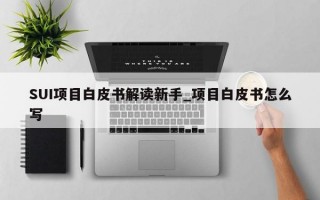 SUI项目白皮书解读新手_项目白皮书怎么写
