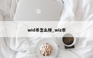 wid币怎么样_wiz币