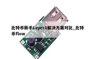 比特币新手Layer1解决方案对比_比特币flow